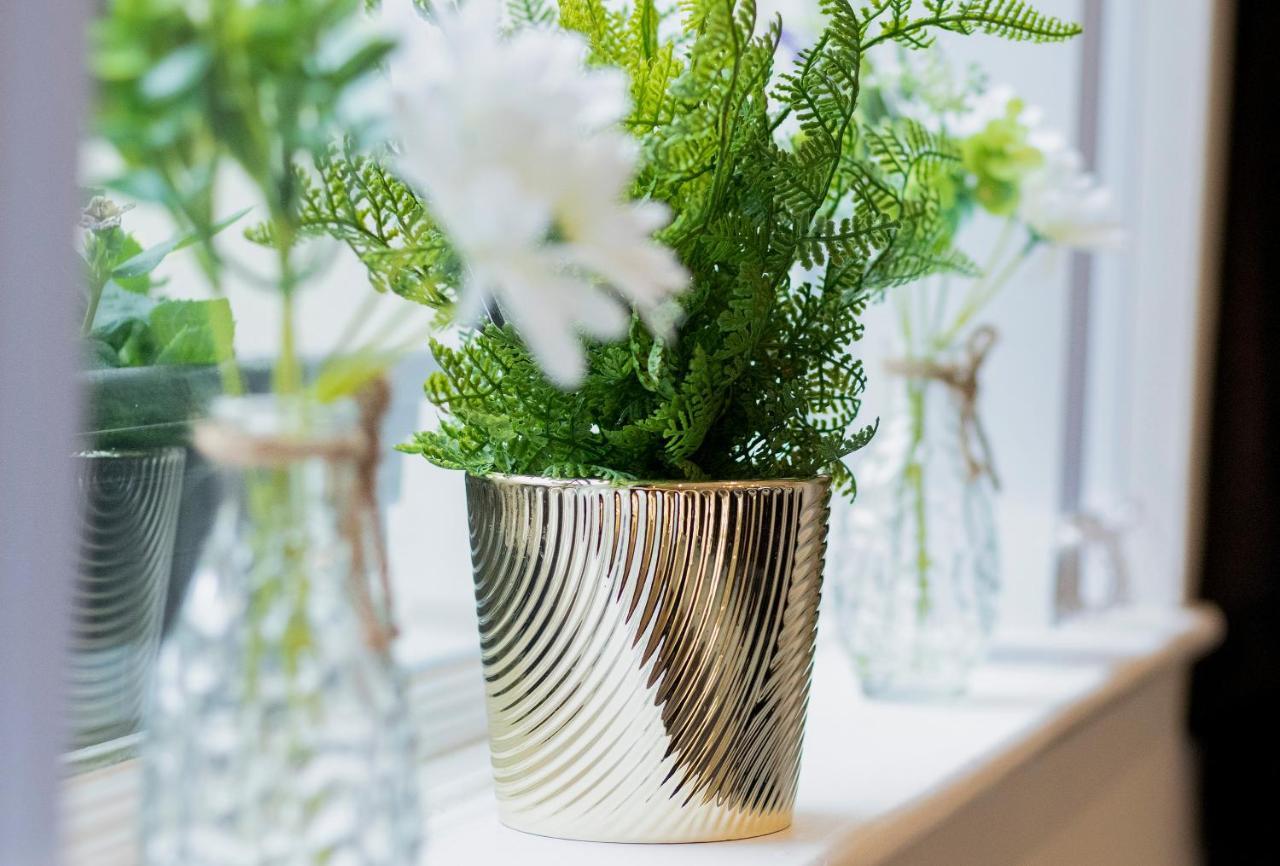 The Belfast Boutique Central Cozy Sleeps7 (Adults Only) エクステリア 写真